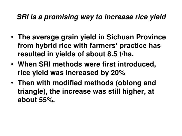 1004 modified sri and super high yield of hybrid rice in sichuan basin rice letter of recommendation