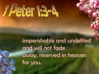 1 Peter 1:3-4imperishable and undefiled and will not fade away, reserved in heaven for you.