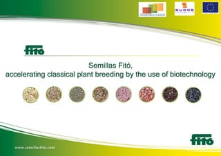 Semillas Fitó,
accelerating classical plant breeding by the use of biotechnology
 
