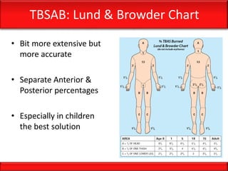 TBSAB: Lund & Browder Chart
• Bit more extensive but
more accurate
• Separate Anterior &
Posterior percentages
• Especially in children
the best solution
 
