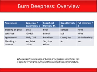 Burn Deepness: Overview
Assessment Epidermal /
Superficial / 1
Superficial
Dermal / 2A
Deep Dermal /
2B
Full thickness /
3
Bleeding on prick Brisk Brisk Delayed None
Sensation Painful Painful Dull None
Appearance Red / Dark Bit whiter Cherry Red White leathery
Blanching to
pressure
Yes, brisk
return
Yes, slow
return
No No
When underlying muscles or bones are affected, sometimes this
is called a 4th degree burn; but this is not official nomenclature.
 