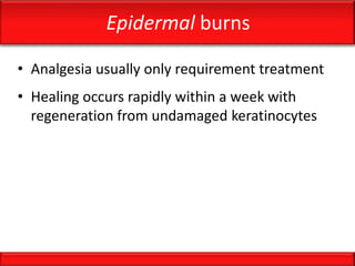 Epidermal burns
• Analgesia usually only requirement treatment
• Healing occurs rapidly within a week with
regeneration from undamaged keratinocytes
 