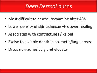 Deep Dermal burns
• Most difficult to assess: reexamine after 48h
• Lower density of skin adnexae → slower healing
• Associated with contractures / keloid
• Excise to a viable depth in cosmetic/large areas
• Dress non-adhesively and elevate
 
