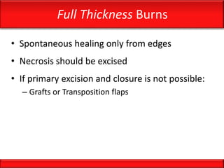 Full Thickness Burns
• Spontaneous healing only from edges
• Necrosis should be excised
• If primary excision and closure is not possible:
– Grafts or Transposition flaps
 