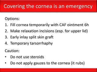 Covering the cornea is an emergency
Options:
1. Fill cornea temporarily with CAF ointment 6h
2. Make relaxation incisions (esp. for upper lid)
3. Early inlay split skin graft
4. Temporary tarsorrhaphy
Caution:
• Do not use steroids
• Do not apply gauzes to the cornea (it rubs)
 