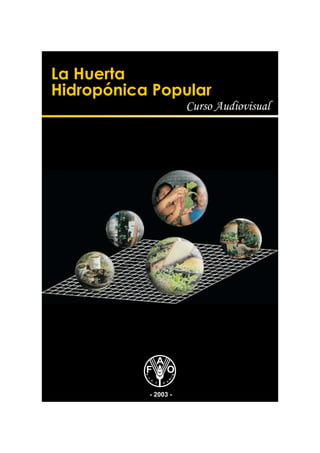 La Huerta
Hidropónica Popular
                      Curso Audiovisual




           - 2003 -
 
