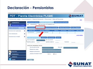 Declaración - Pensionistas
 