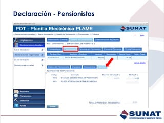 Declaración - Pensionistas
 