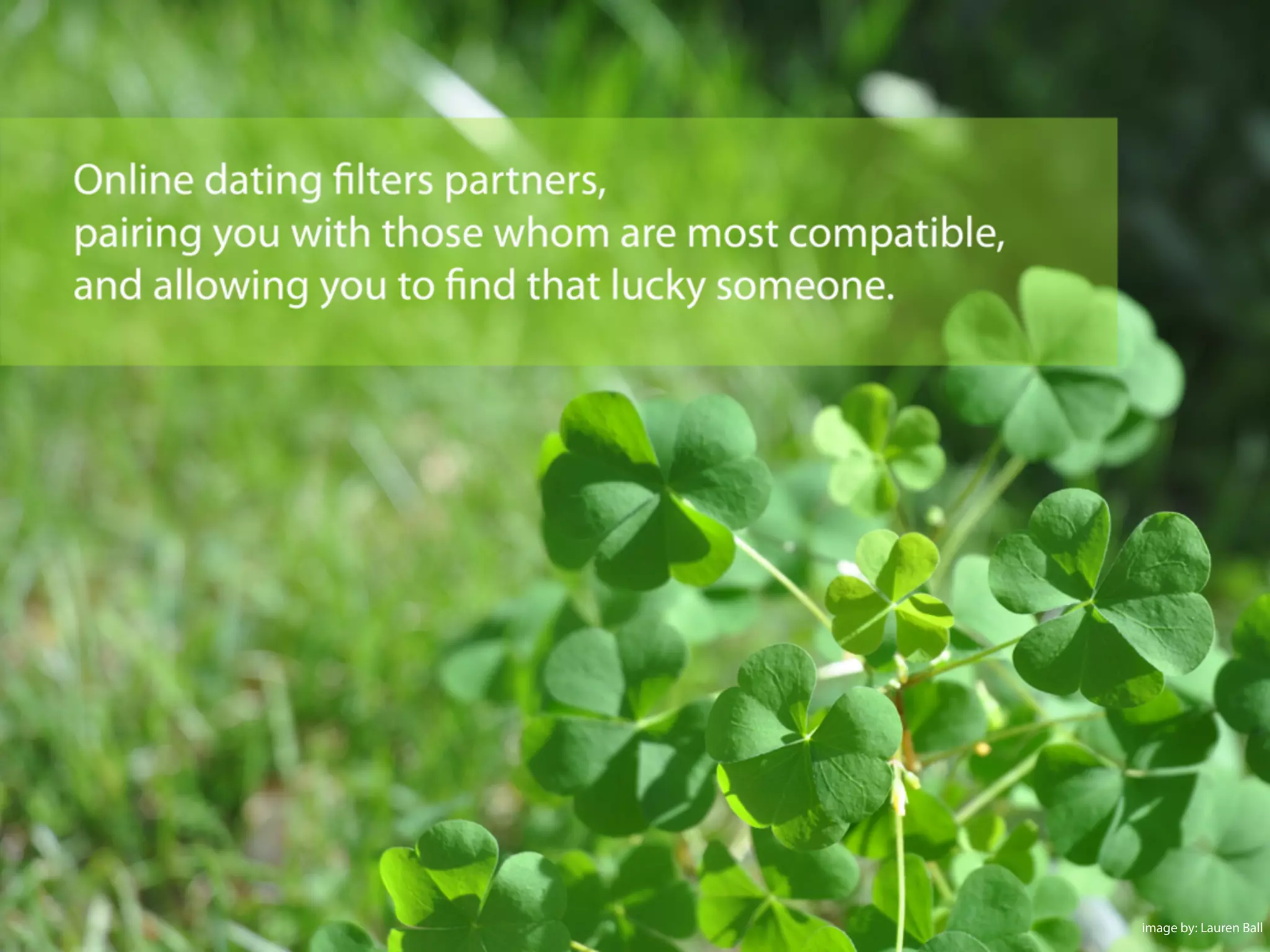 image by: Lauren Ball
 