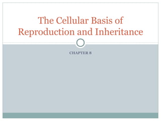 The Cellular Basis of
Reproduction and Inheritance

           CHAPTER 8
 