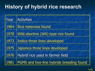 History of hybrid rice research Year Activities 1964 Rice heterosis found 1970 Wild abortive (WA) type rice found 1973 Ind...