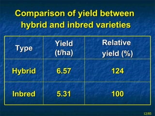 Comparison of yield between  hybrid and inbred varieties Type Yield (t/ha) Relative  yield (%) Hybrid 6.57 124 Inbred 5.31...