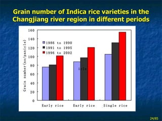 Grain number of Indica rice varieties in the Changjiang river region in different periods 