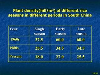 <ul><li>Plant density(hill/m 2 ) of different rice seasons in different periods in South China </li></ul>Year Single seaso...