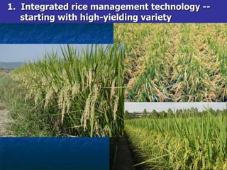 1.  Integrated rice management technology -- starting with high-yielding variety  