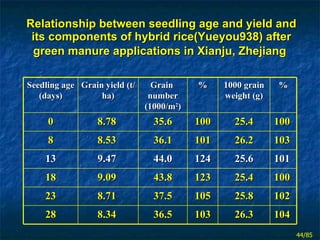Relationship between seedling age and yield and its components of hybrid rice(Yueyou938) after green manure applications i...