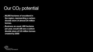 Our CO2 potential
- 96,000 hectares of woodland in
  the region, representing a carbon
  dioxide store of almost 24 million
  tonnes.
- Business as usual, 400 hectares
  per year, would still see a carbon
  dioxide store of 3.9 million tonnes
  created by 2050
 