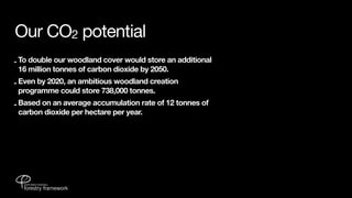 Our CO2 potential
- To double our woodland cover would store an additional
  16 million tonnes of carbon dioxide by 2050.
- Even by 2020, an ambitious woodland creation
  programme could store 738,000 tonnes.
- Based on an average accumulation rate of 12 tonnes of
  carbon dioxide per hectare per year.
 