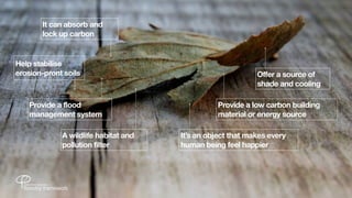 It can absorb and
       lock up carbon


Help stabilise
erosion-pront soils                                         Offer a source of
                                                            shade and cooling

    Provide a flood                             Provide a low carbon building
    management system                           material or energy source

             A wildlife habitat and   It’s an object that makes every
             pollution filter         human being feel happier
 