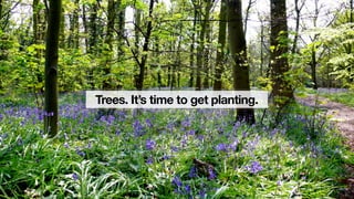 Trees. It’s time to get planting.
 