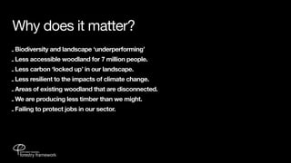 Why does it matter?
- Biodiversity and landscape ‘underperforming’
- Less accessible woodland for 7 million people.
- Less carbon ‘locked up’ in our landscape.
- Less resilient to the impacts of climate change.
- Areas of existing woodland that are disconnected.
- We are producing less timber than we might.
- Failing to protect jobs in our sector.
 