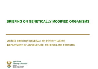 BRIEFING ON GENETICALLY MODIFIED ORGANISMS
ACTING DIRECTOR GENERAL: MR PETER THABETE
DEPARTMENT OF AGRICULTURE, FISHERIES AND FORESTRY
 