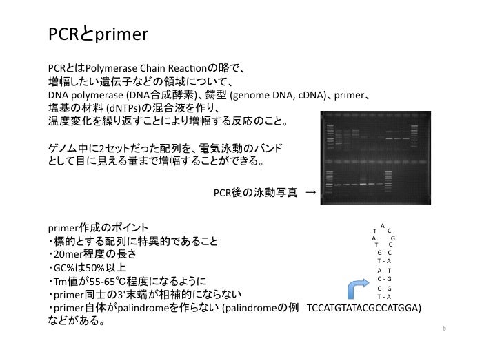slideshare