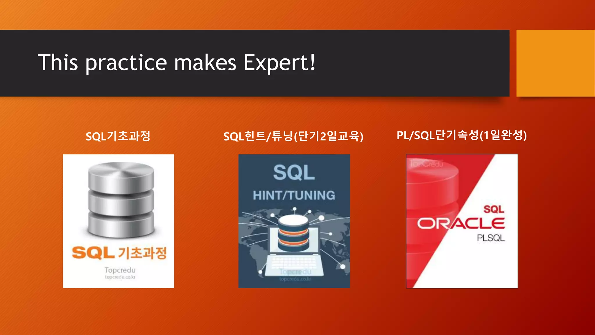 This practice makes Expert!
PL/SQL단기속성(1일완성)SQL힌트/튜닝(단기2일교육)SQL기초과정
 