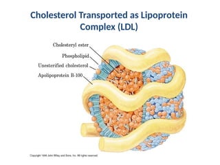 Cholesterol Transported as Lipoprotein
Complex (LDL)
 