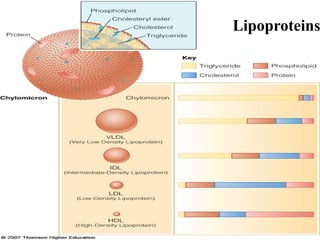 Lipoproteins
 