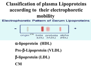 Classification of plasma Lipoproteins
according to their electrophoretic
mobility
(CM)
a-lipoprotein (HDL)
Pre-b-Lipoprotein (VLDL)
b-lipoprotein (LDL)
CM
 
