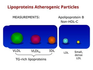 Lipoproteins Atherogenic Particles
Apolipoprotein B
Non-HDL-C
MEASUREMENTS:
TG-rich lipoproteins
VLDL VLDLR
IDL
LDL Small,
dense
LDL
 