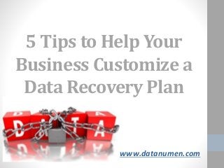 www.datanumen.com
5 Tips to Help Your
Business Customize a
Data Recovery Plan
 