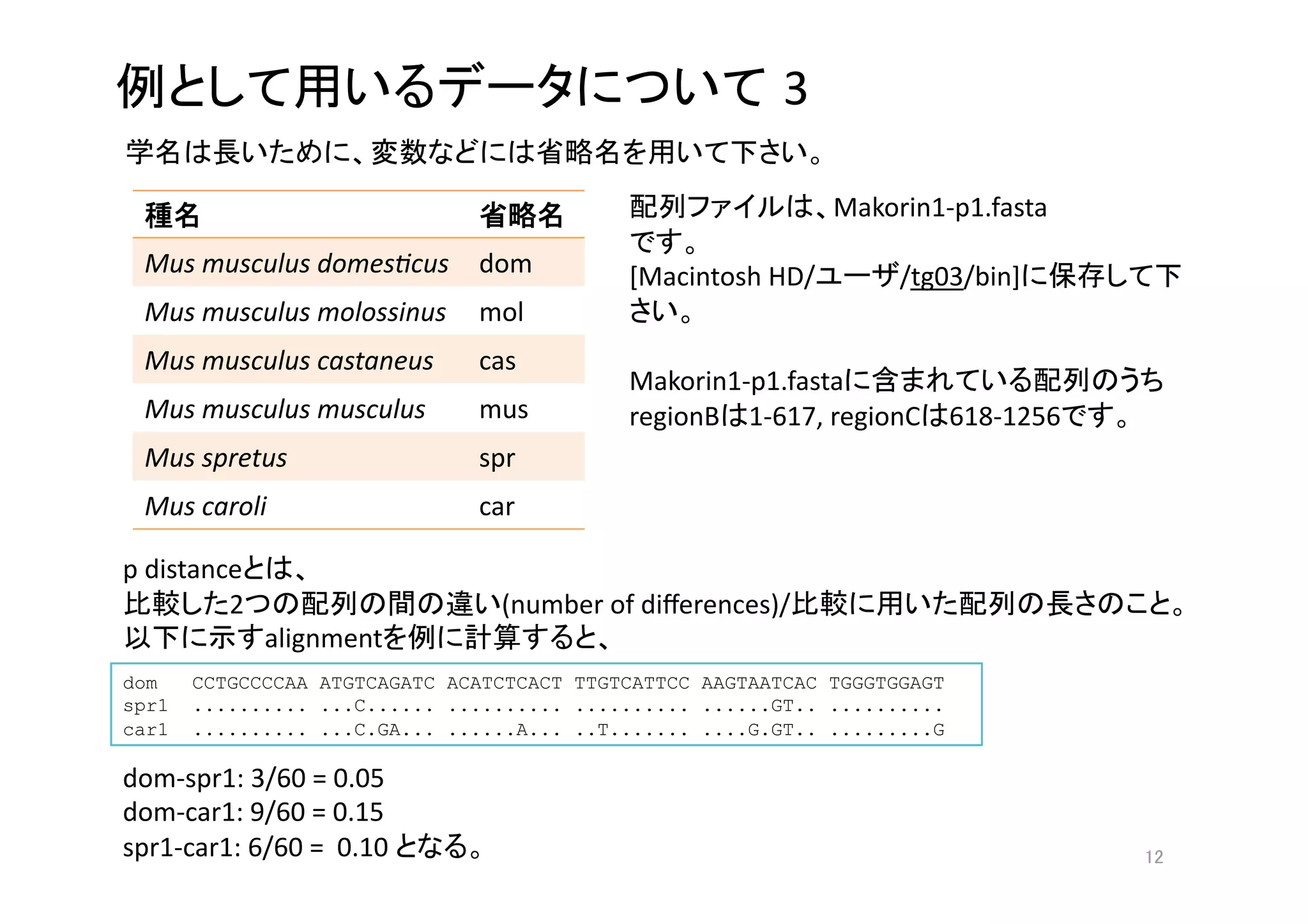 3
                                                                

       
                                 
                     Makorin1‐p1.fasta 
                                                     
 Mus musculus domes3cus
 dom
                 [Macintosh HD/        /tg03/bin]
 Mus musculus molossinus
 mol
                      
 Mus musculus castaneus
       cas
                                              Makorin1‐p1.fasta                          
 Mus musculus musculus
        mus
           regionB 1‐617, regionC 618‐1256        
 Mus spretus
                  spr
 Mus caroli
                   car

p distance        
         2                          (number of diﬀerences)/                                  
             alignment                       
dom    CCTGCCCCAA ATGTCAGATC ACATCTCACT TTGTCATTCC AAGTAATCAC TGGGTGGAGT
spr1   .......... ...C...... .......... .......... ......GT.. ..........
car1   .......... ...C.GA... ......A... ..T....... ....G.GT.. .........G

dom‐spr1: 3/60 = 0.05 
dom‐car1: 9/60 = 0.15 
spr1‐car1: 6/60 =  0.10                                                                 
 