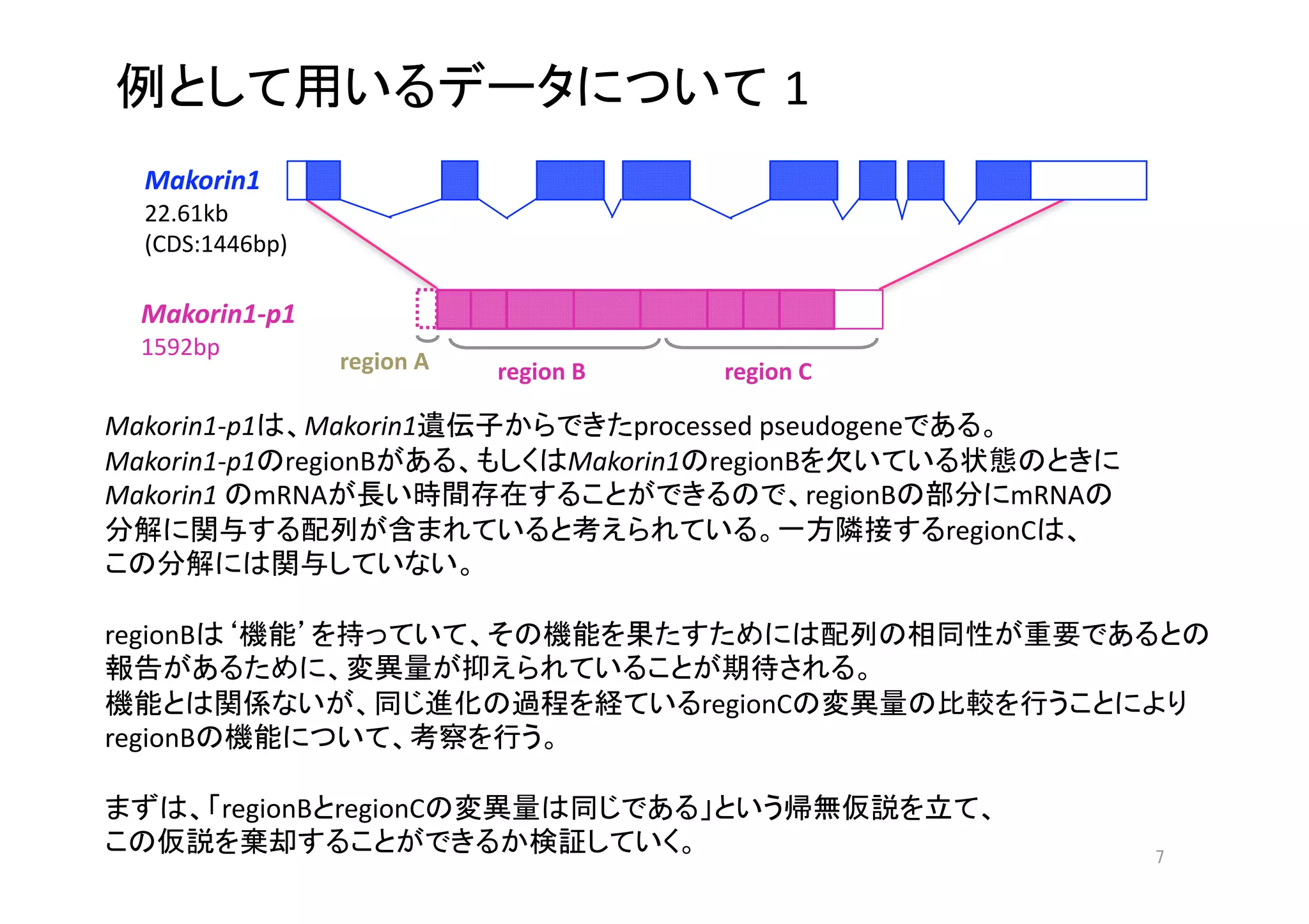 1
   Makorin1 
   22.61kb 
   (CDS:1446bp) 

  Makorin1‐p1 
  1592bp 
                   region A         region B            region C 

Makorin1‐p1   Makorin1                         processed pseudogene         
Makorin1‐p1 regionB                        Makorin1 regionB                            
Makorin1  mRNA                                              regionB          mRNA  
                                                                        regionC   
                                 

regionB                                                                                            
                                                                     
                                                    regionC                                    
regionB                                    

          regionB regionC                                                   
                                                                                          
 