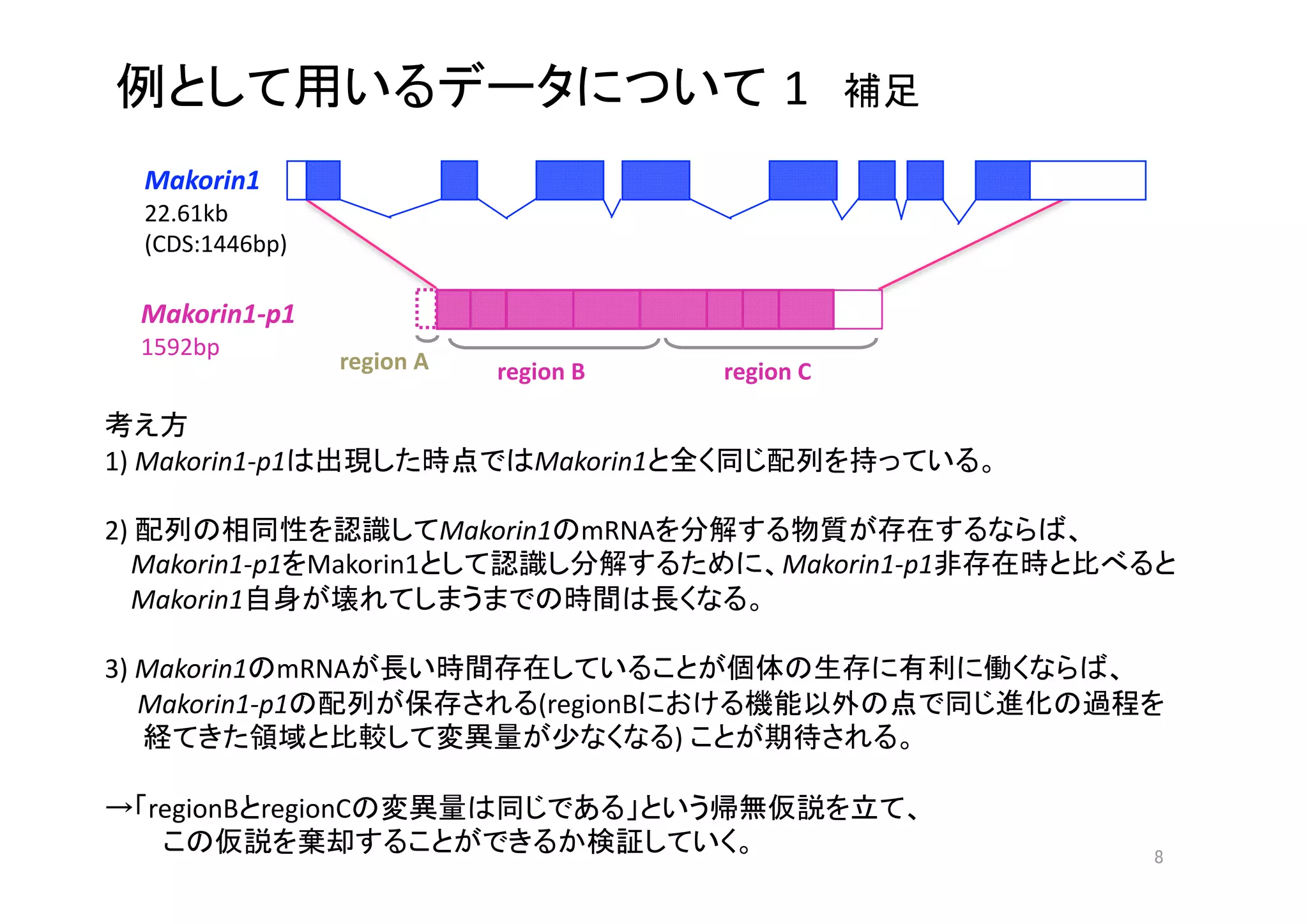 1         

    Makorin1 
    22.61kb 
    (CDS:1446bp) 

    Makorin1‐p1 
    1592bp 
                    region A     region B            region C 

       
1) Makorin1‐p1                      Makorin1                                      

2)                       Makorin1 mRNA                                                
    Makorin1‐p1 Makorin1                                        Makorin1‐p1                       
    Makorin1                                                 

3) Makorin1 mRNA                                                                          
     Makorin1‐p1                     (regionB                                                 
                                                )                         

    regionB regionC                                                           
                                                                                             
 