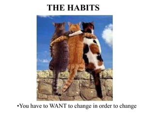 THE HABITS
•You have to WANT to change in order to change
 