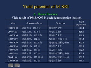Yield potential of M-SRI <ul><li>Hunan Province:   </li></ul><ul><li>Yield result of P88S/0293 in each demonstration locat...