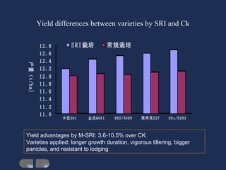 Yield differences between varieties by SRI and Ck  Yield advantages by M-SRI :  3.6-10.5% over CK  Varieties applied: long...