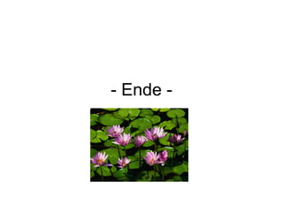 - Ende - 