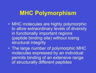 Polymorphic Molecule 10.07.08(a): Transplant Surgery and Immunology | PDF