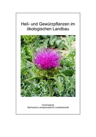 Heil- und Gewürzpflanzen im
   ökologischen Landbau




                 Fachmaterial
   Sächsische Landesanstalt für Landwirtschaft
 