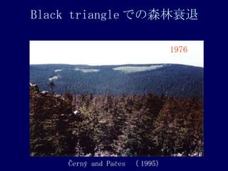 Black triangle Ǥɭ˥ ?ern? and Pa?es   1995) 1976 