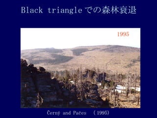 Black triangle Ǥɭ˥ 1995 ?ern? and Pa?es   1995) 