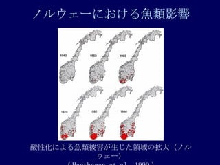 Υ륦`ˤ~Ӱ Իˤ~IΒ󣨥Υ륦`  Hesthagen et al. 1999  