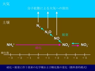   Ӓɢˤݤؤηų NH 4 + ữ NO 2 - NO 3 - N 2 O NO N 2            ?Ϥ˰餦ؤλѧNữΉ仯̿ƕģʽ 