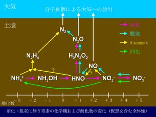 ?Ϥ˰餦ؤλѧNữΉ仯򺬤ȫ Ӓɢˤݤؤηų NH 4 + ữ NO 2 - NO 3 - NH 2 OH N 2 O NO N 2             Anammox HNO H 2 N 2 O 2 N 2 H 4 ? ? ͬ   