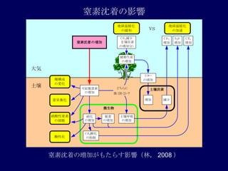 ŤΉӤ⤿餹Ӱ푣֣ 2008  سŤӰ 