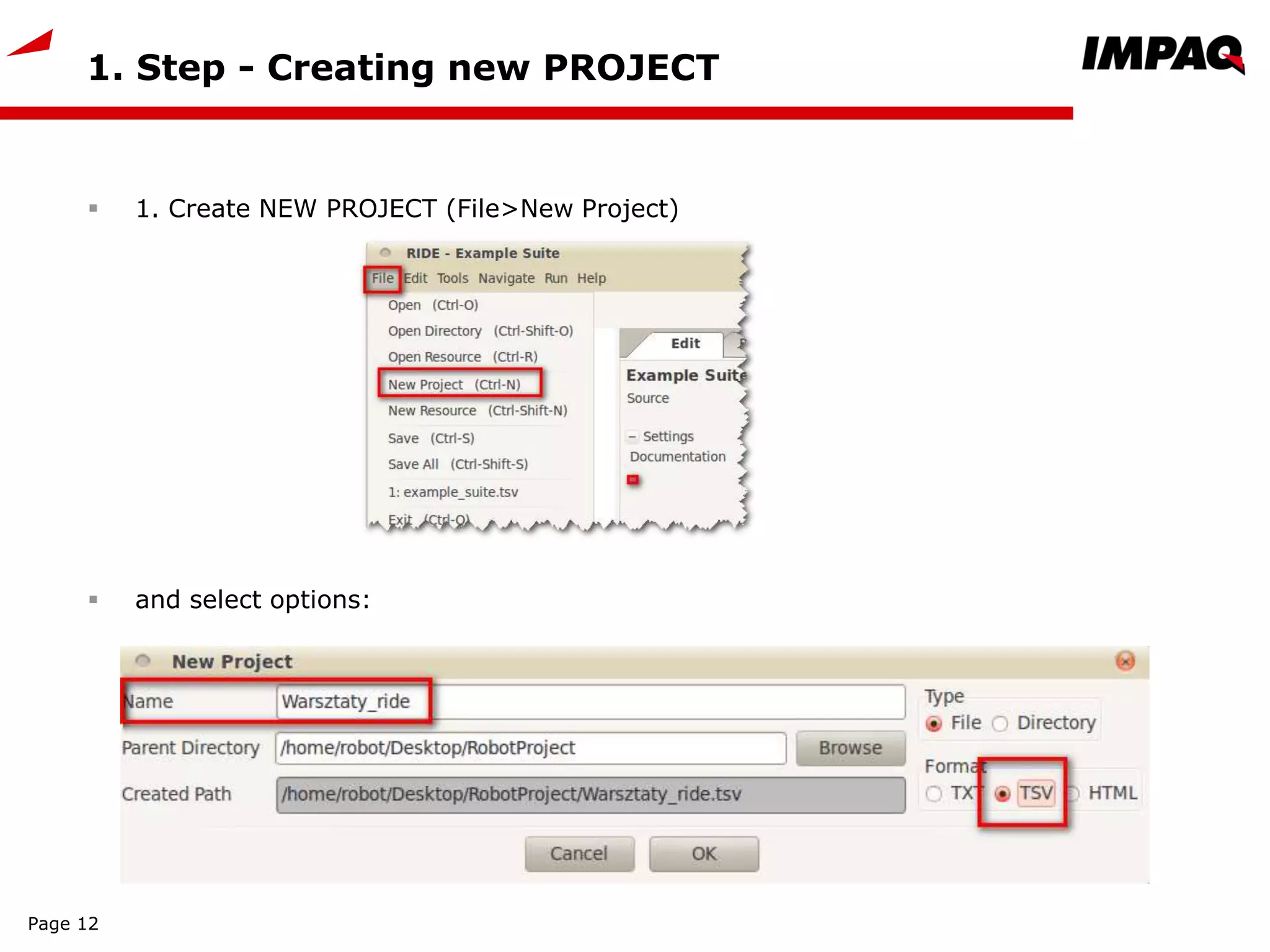 1. Step - Creating new PROJECT
 1. Create NEW PROJECT (File>New Project)
 and select options:
Page 12
 