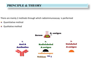 There are mainly 2 methods through which radioimmunoassay is performed
Quantitative method
Qualitative method
PRINCIPLE & THEORY
 